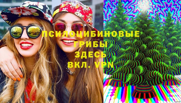 не бодяженный Михайлов