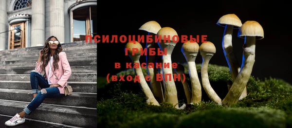 MESCALINE Абаза