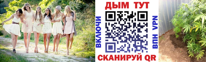 Каннабис планчик  как найти закладки  Тырныауз 